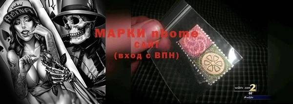 2c-b Пестово