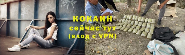 2c-b Пестово