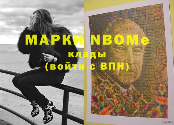 стафф Осинники