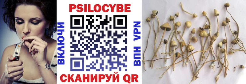 Галлюциногенные грибы Psilocybine cubensis  блэк спрут как войти  Туран  где купить наркоту 